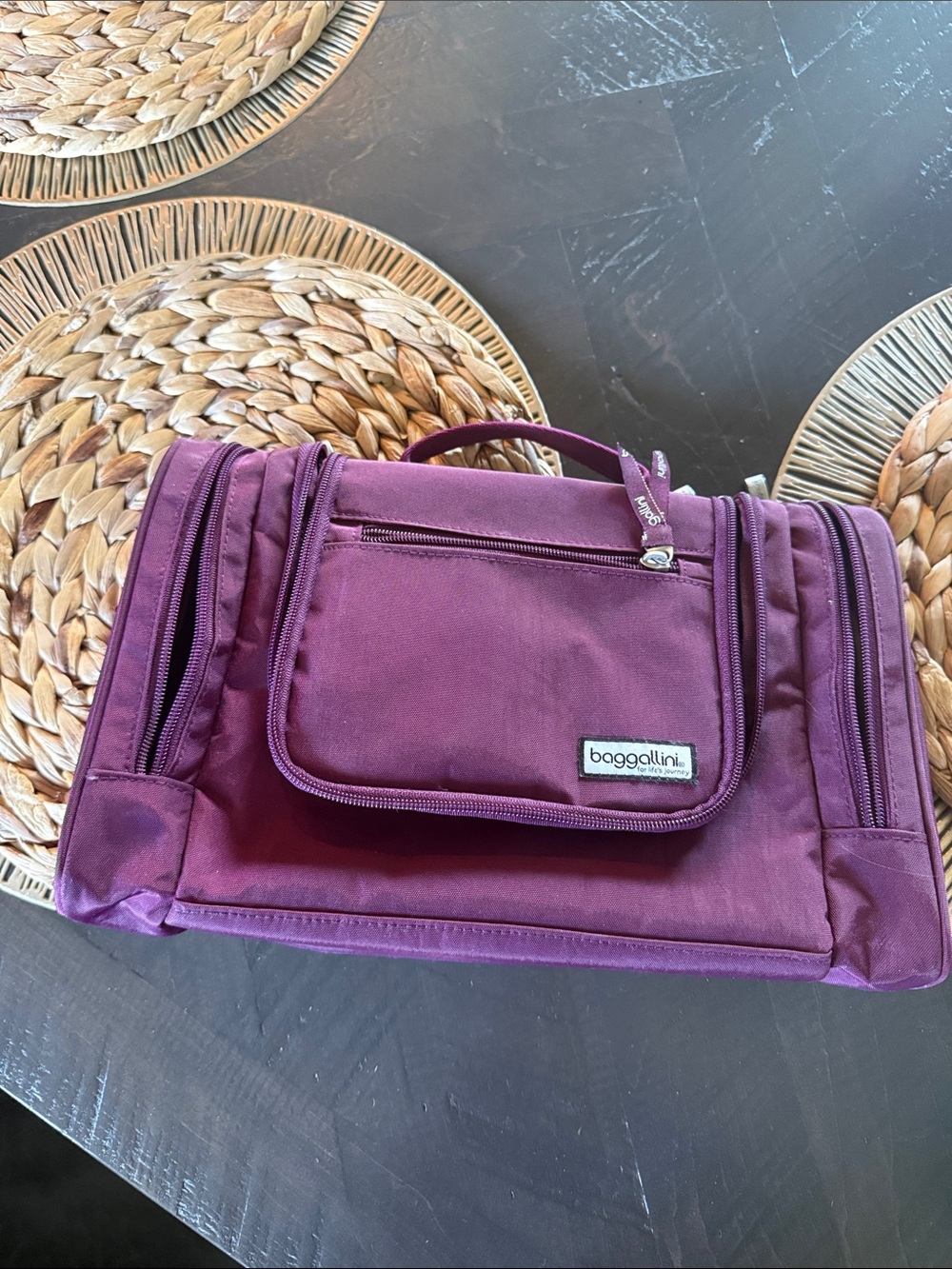 Baggallini Plum Travel Organizer Bag